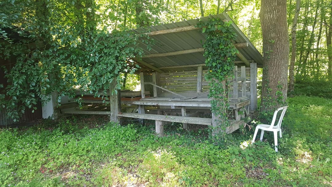 Location étang 1ha dans le Jura 
