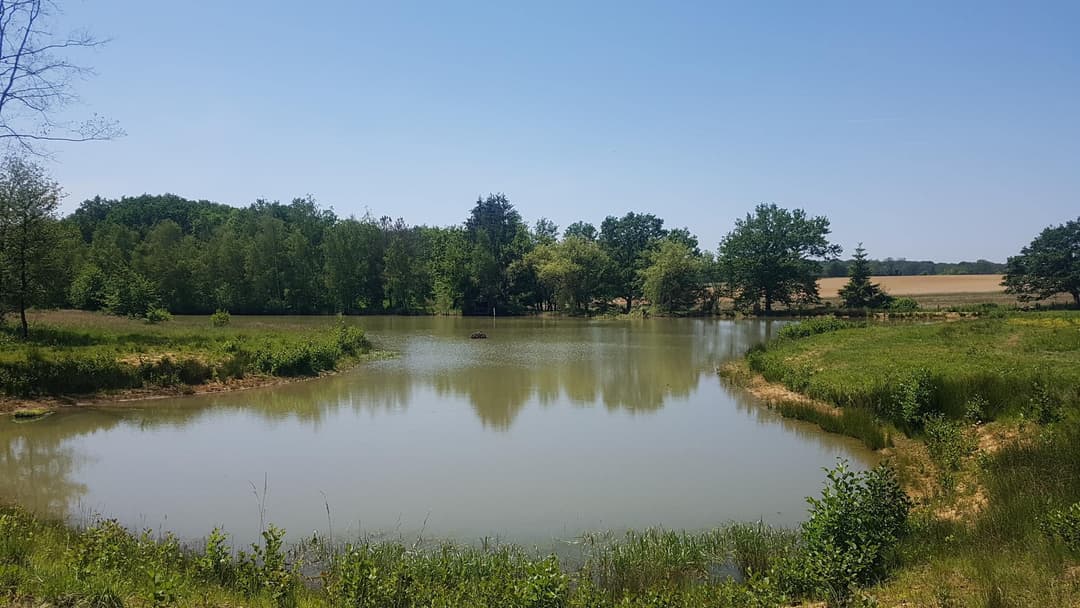 Location étang 1ha dans le Jura 