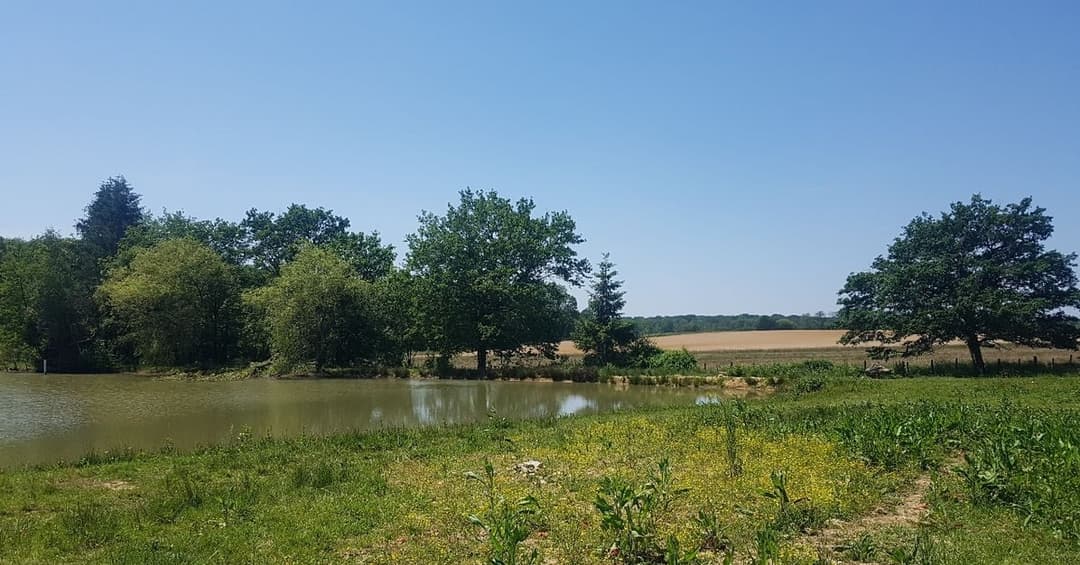 Location étang 1ha dans le Jura 