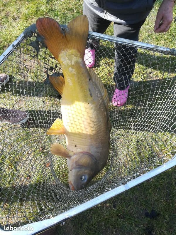 1 étang et 2 marres pour une journée nature et pêche 