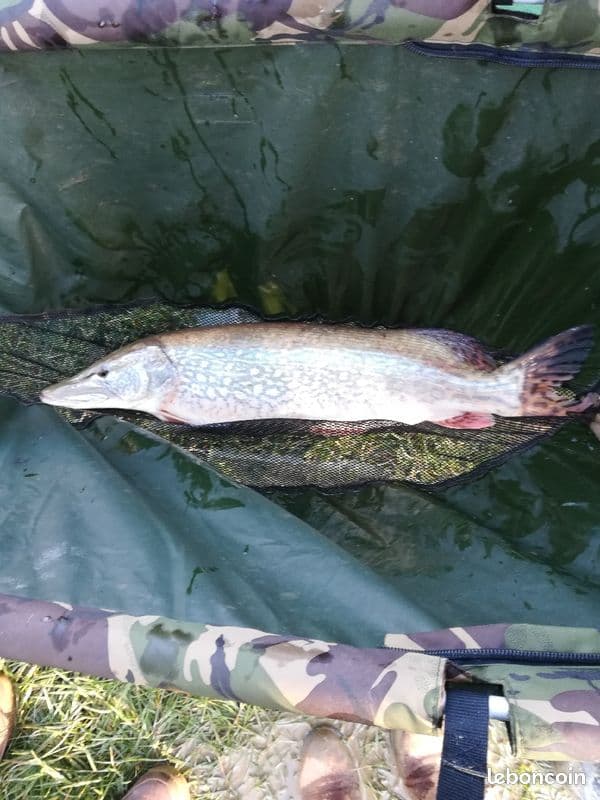 1 étang et 2 marres pour une journée nature et pêche 