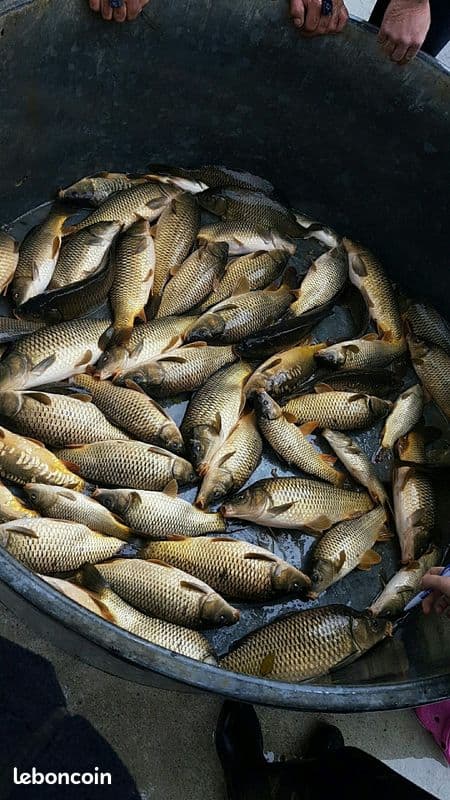 1 étang et 2 marres pour une journée nature et pêche 
