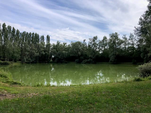 Location étang pour un weekend dans l’Aube 