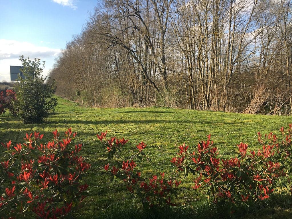 Gite au bord de la rivière Le Loing 