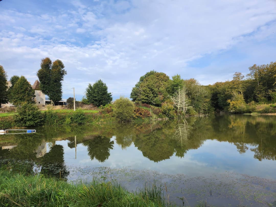 2 étangs au bord d’un château Bordelais et ses vignes 