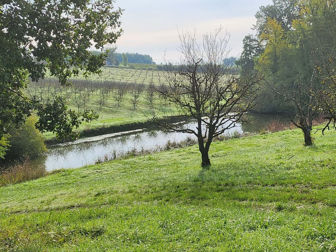 2 étangs au bord d’un château Bordelais et ses vignes 