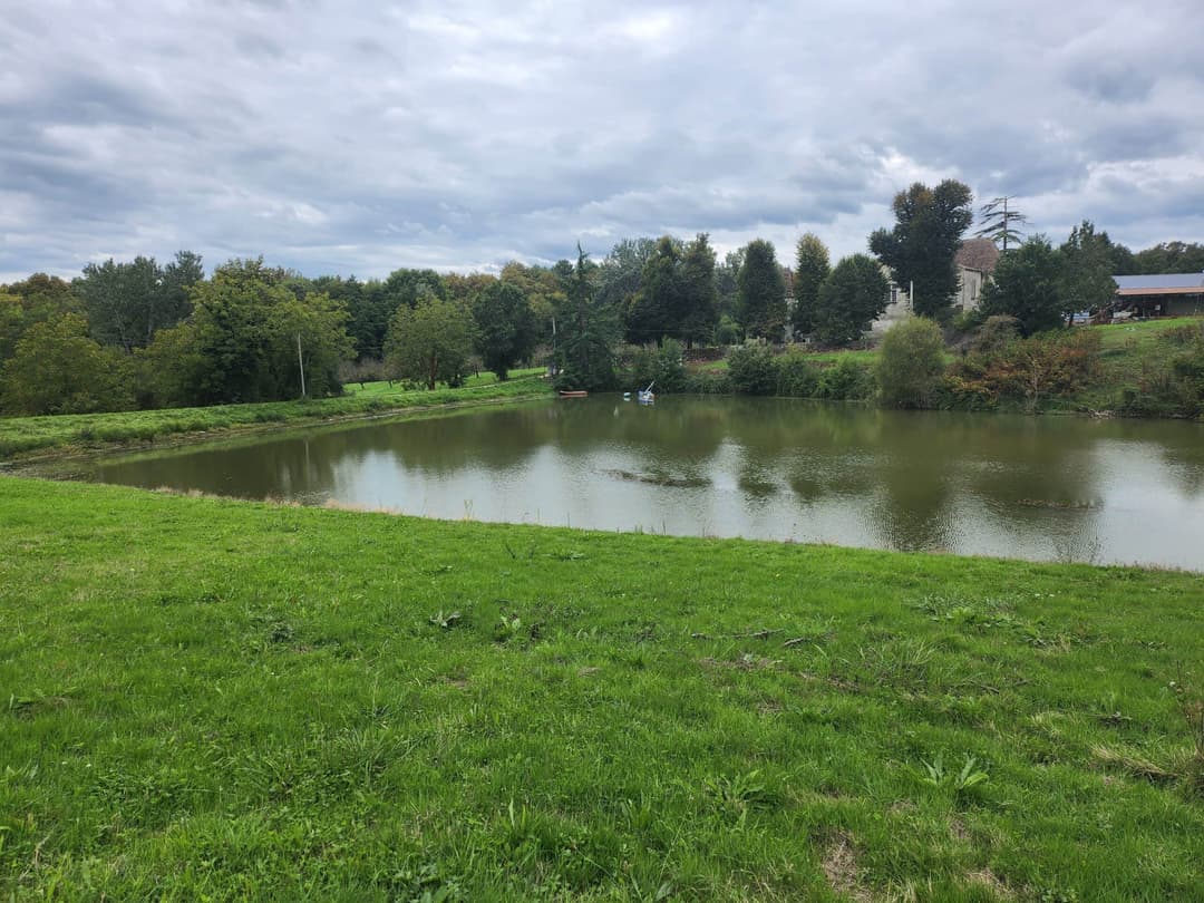 2 étangs au bord d’un château Bordelais et ses vignes 