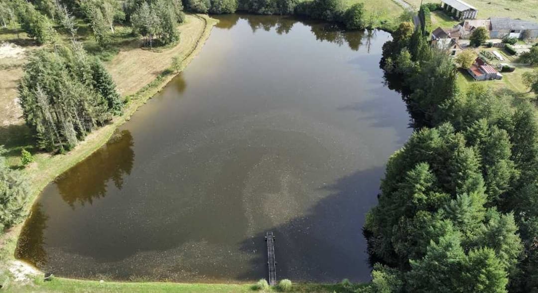 Etang à la campagne dans un cadre verdoyant 