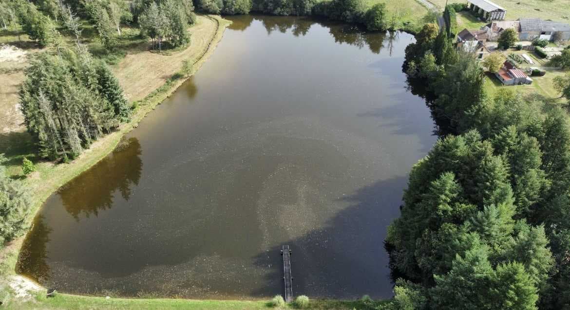 Etang à la campagne dans un cadre verdoyant 