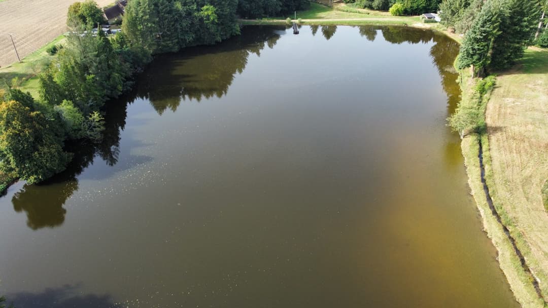 Etang à la campagne dans un cadre verdoyant 