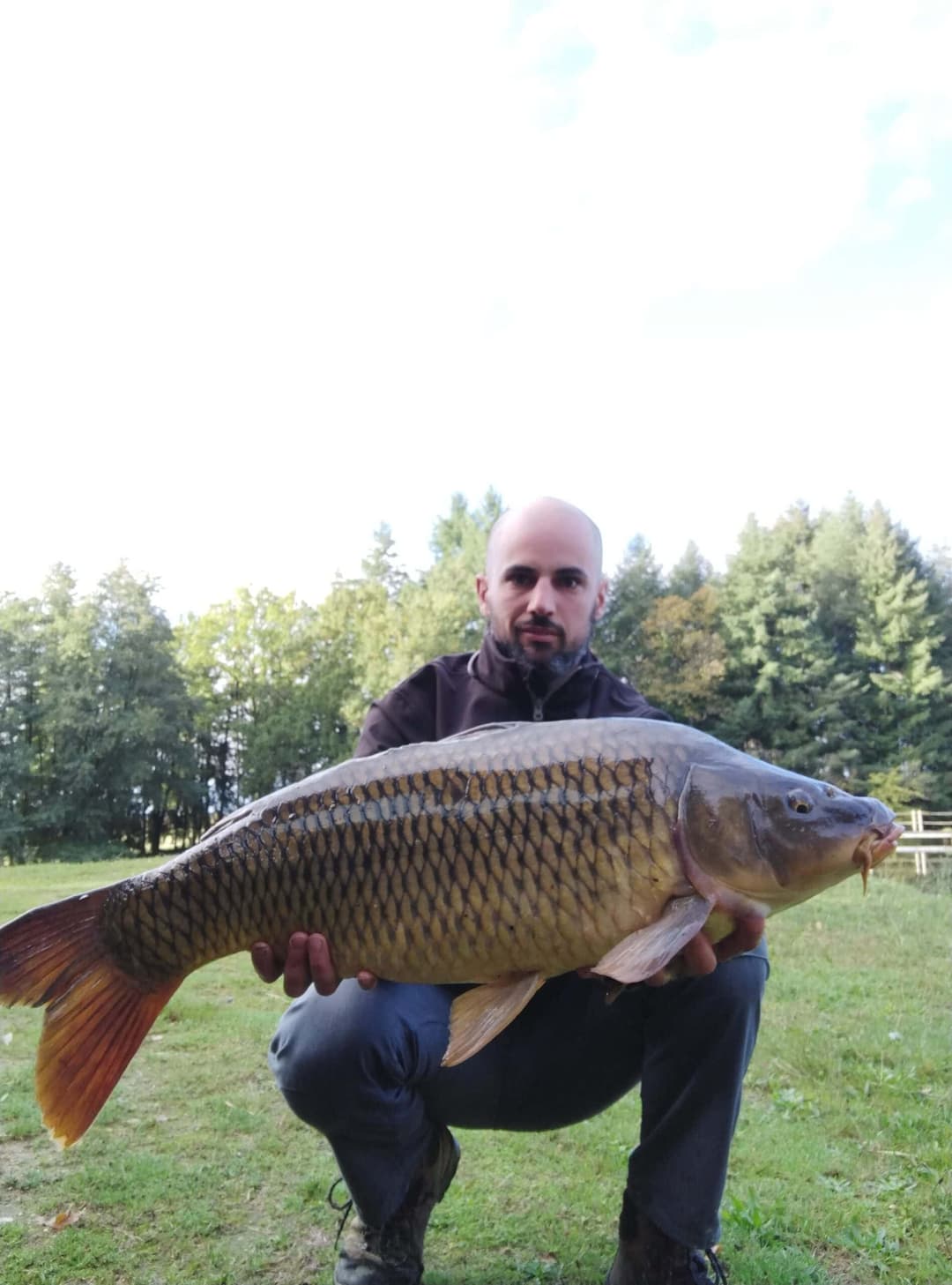 Etang à la campagne dans un cadre verdoyant 