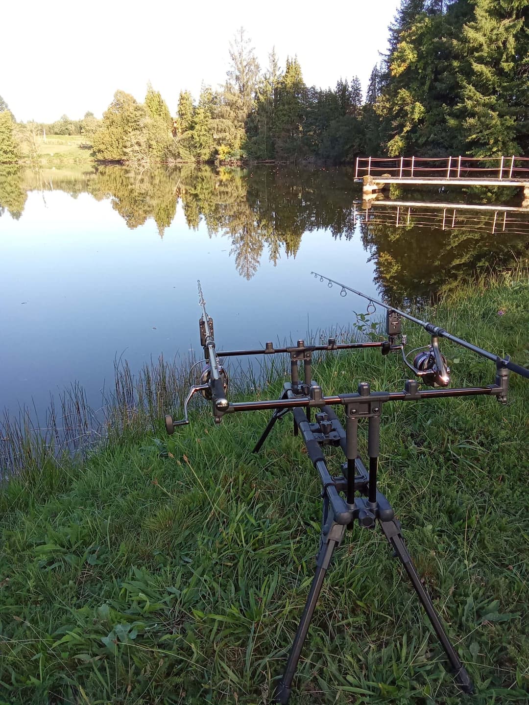 Etang à la campagne dans un cadre verdoyant 