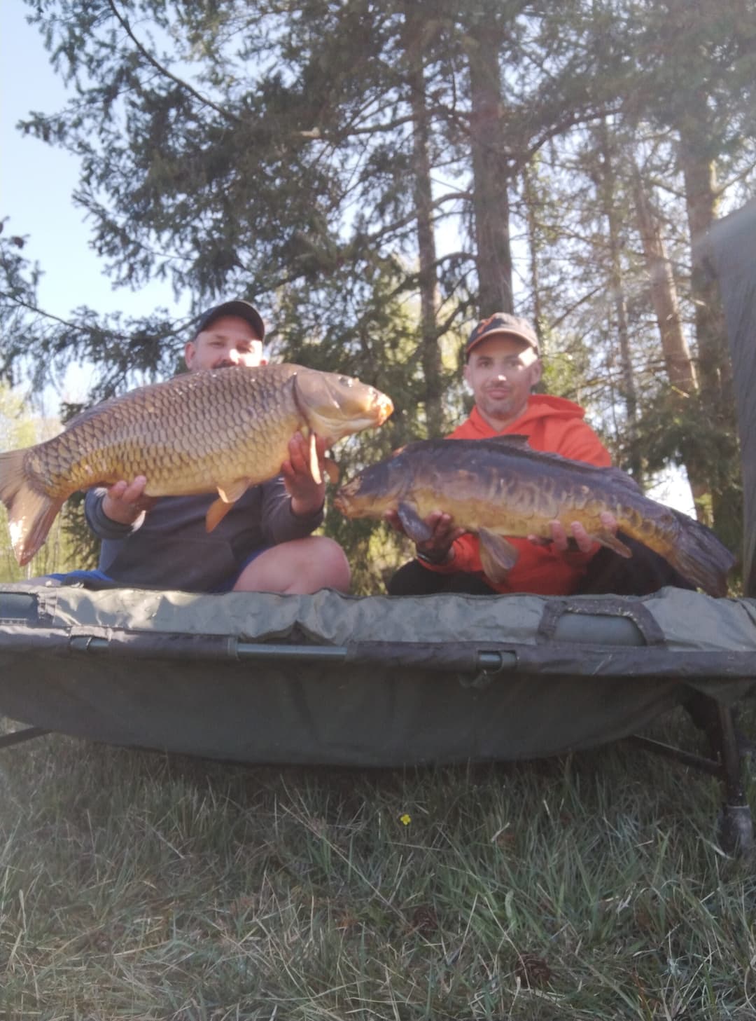 Etang à la campagne dans un cadre verdoyant 