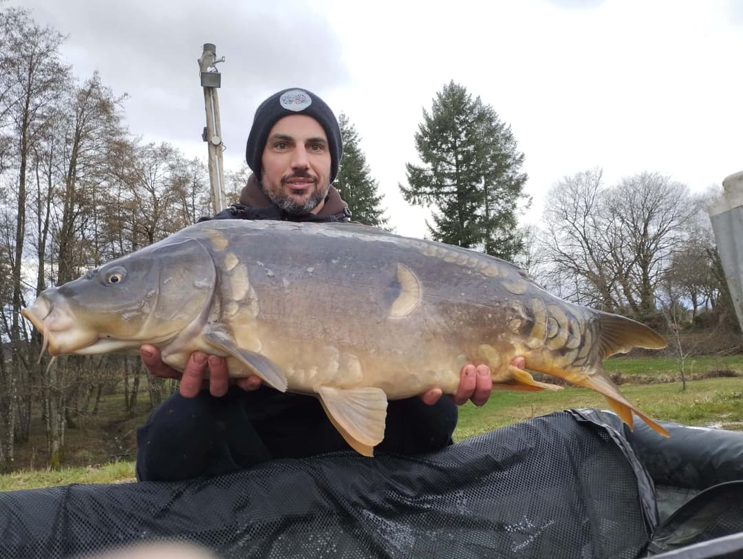Etang à la campagne dans un cadre verdoyant 