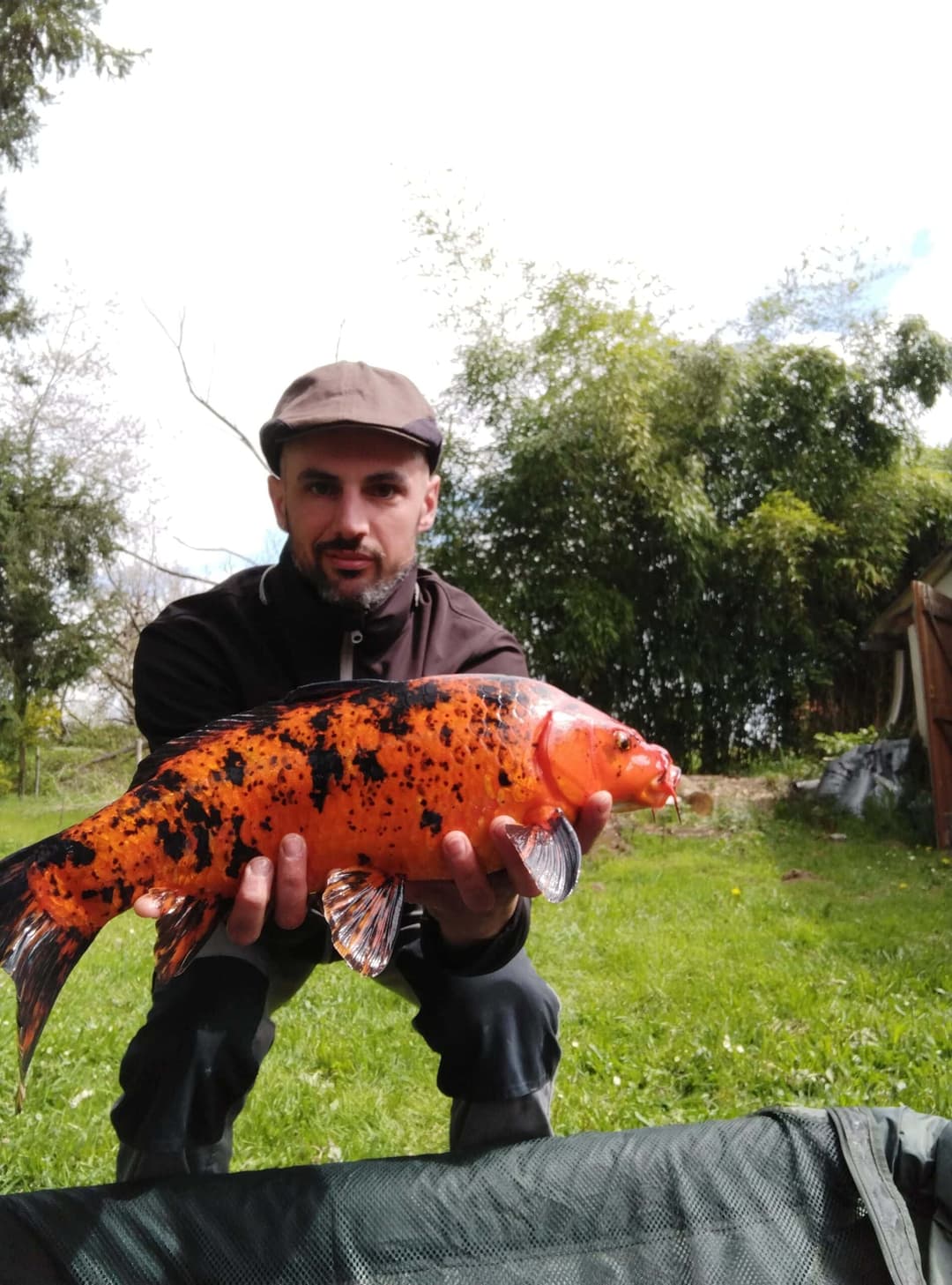 Etang à la campagne dans un cadre verdoyant 