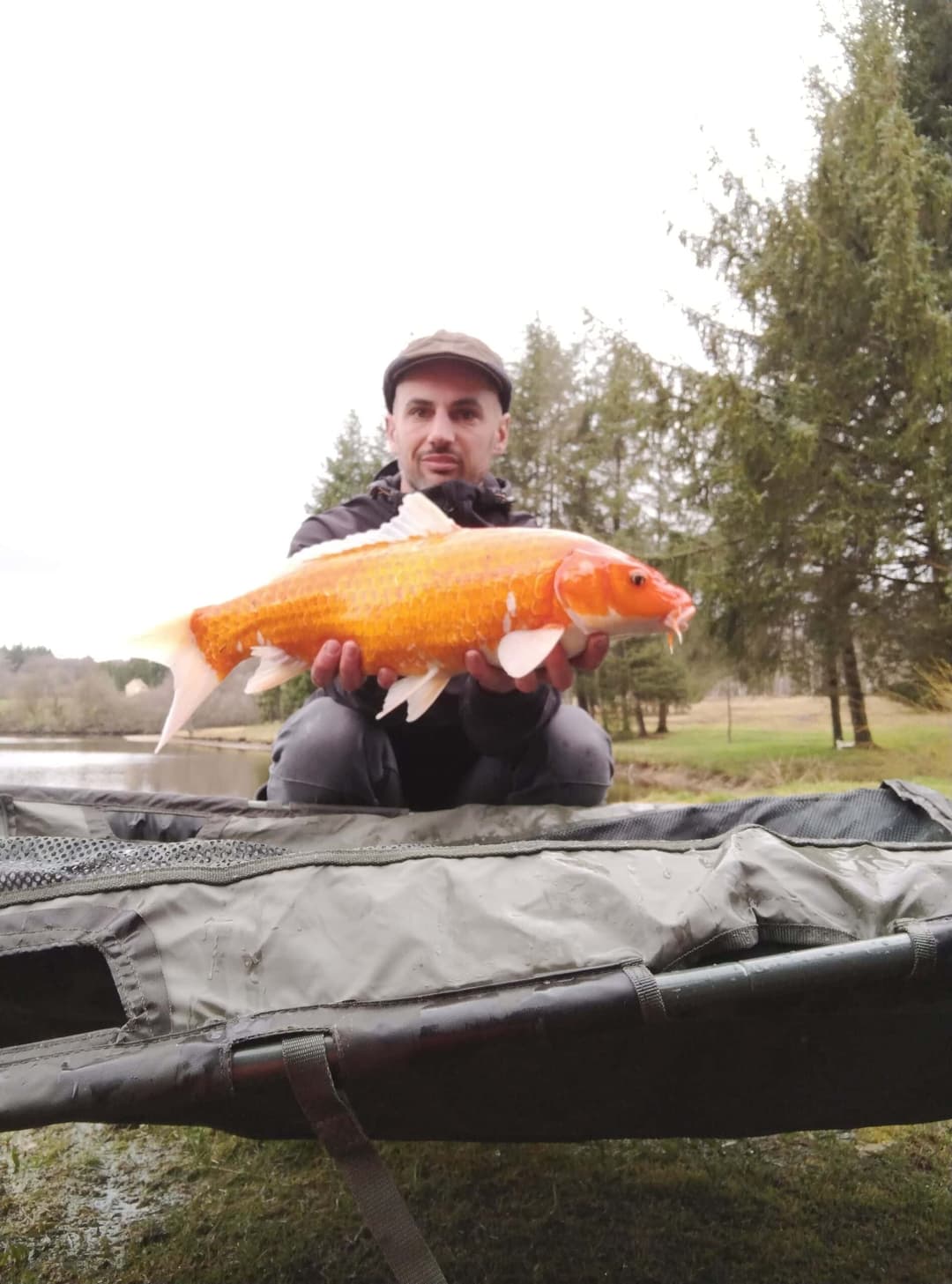 Etang à la campagne dans un cadre verdoyant 
