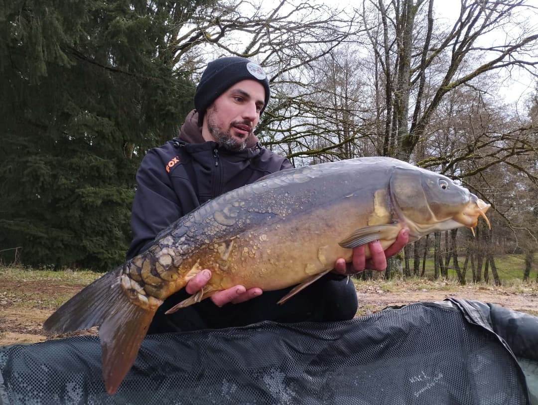 Etang à la campagne dans un cadre verdoyant 
