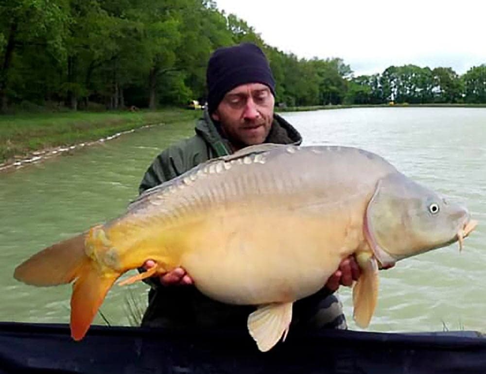 Magnifique étang de pêche avec gîtes au cœur de la Touraine 