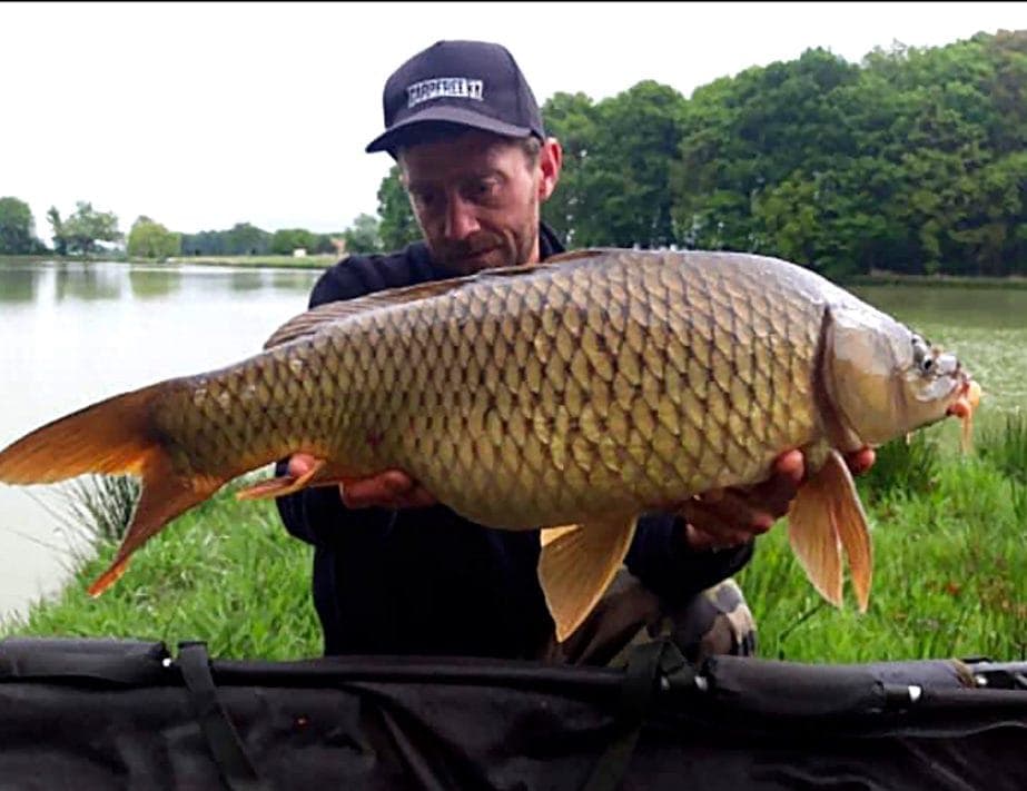 Magnifique étang de pêche avec gîtes au cœur de la Touraine 