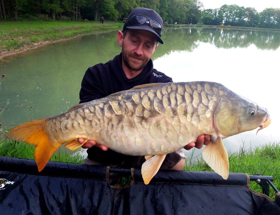 Magnifique étang de pêche avec gîtes au cœur de la Touraine 