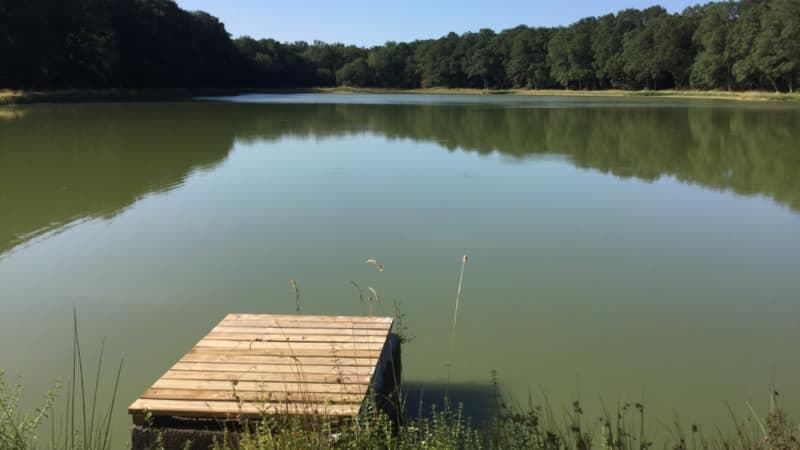 Magnifique étang de pêche avec gîtes au cœur de la Touraine 