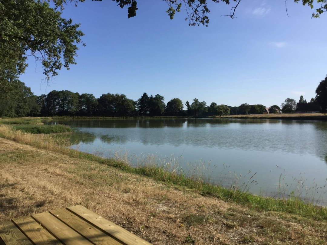 Magnifique étang de pêche avec gîtes au cœur de la Touraine 