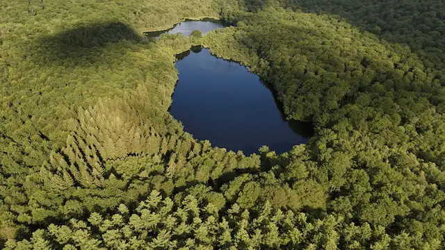 Pourquoi louer son étang quand on est propriétaire ?