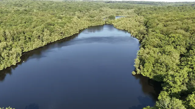 Rent a lake, la première plateforme de location d’étangs et lacs en France !