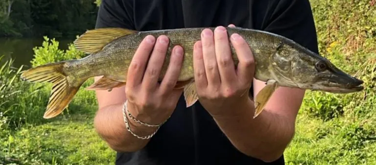 Louez 2 étangs avec une chambre tout équipée + camping autorisé dans l’eure