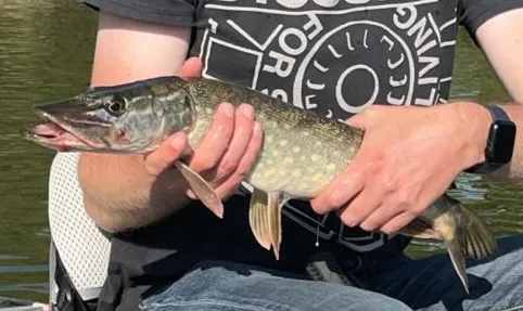 Louez 2 étangs avec une chambre tout équipée + camping autorisé dans l’eure