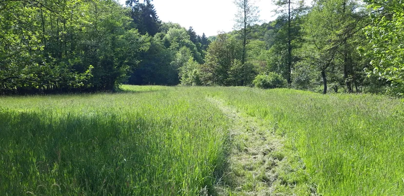 Cabane de pêcheur en Alsace pour deux pêcheurs