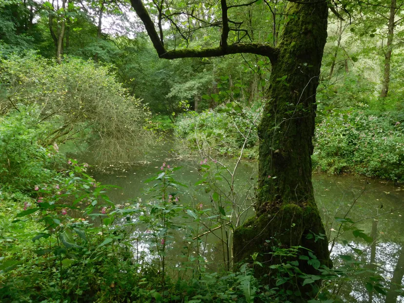 Cabane de pêcheur en Alsace pour deux pêcheurs