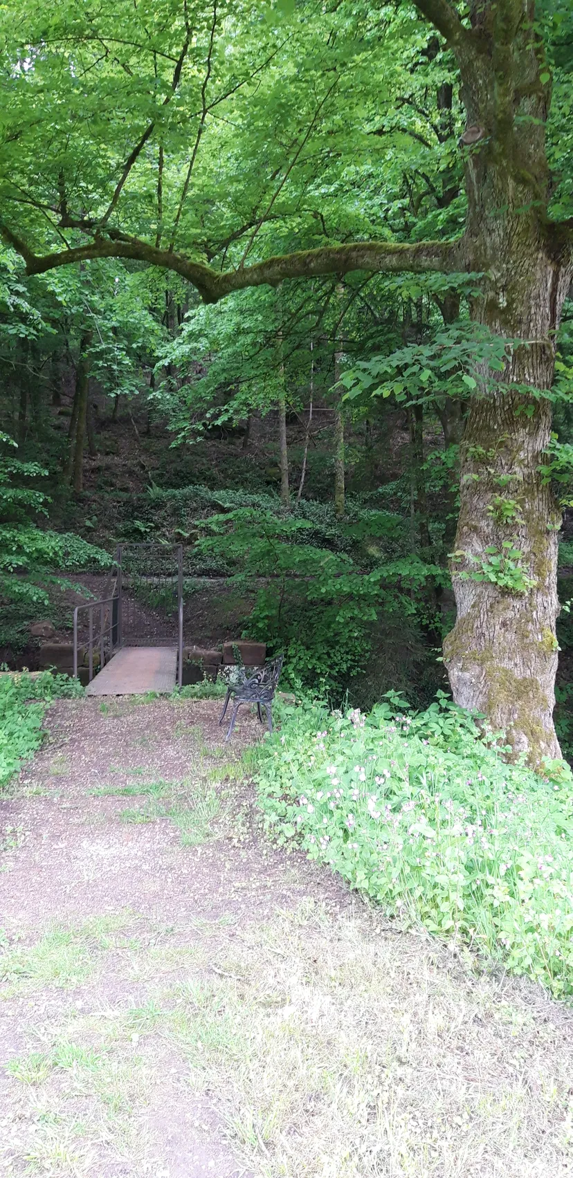 Cabane de pêcheur en Alsace pour deux pêcheurs