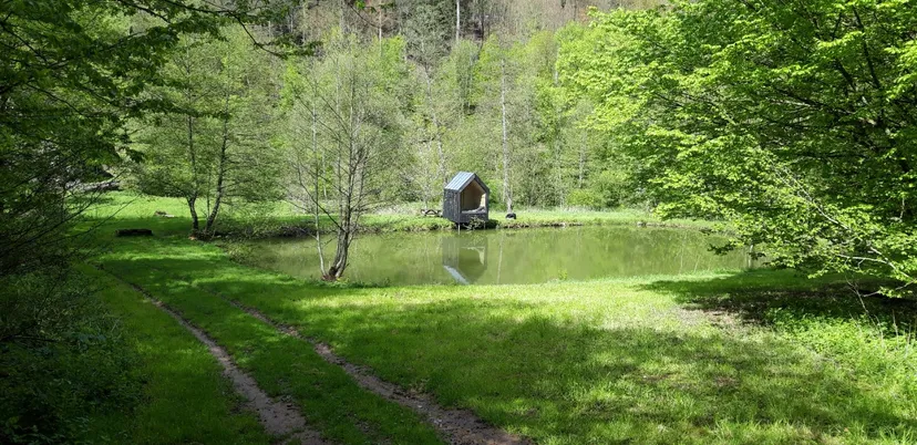 Cabane de pêcheur en Alsace pour deux pêcheurs