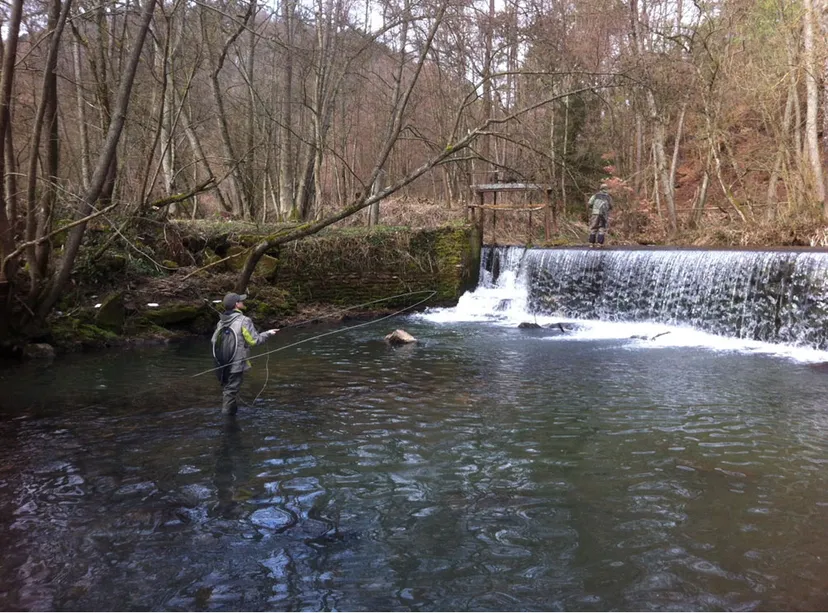 Gîte de pêche en Alsace de 4 à 6 pêcheurs
