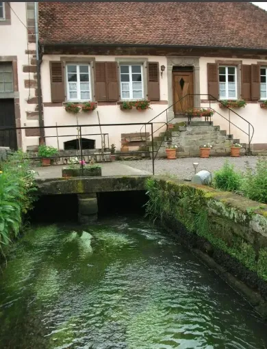 Gîte du vieux moulin pêche en Alsace