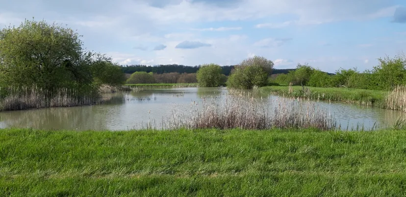 Gîte de pêche en Alsace de 4 à 6 pêcheurs