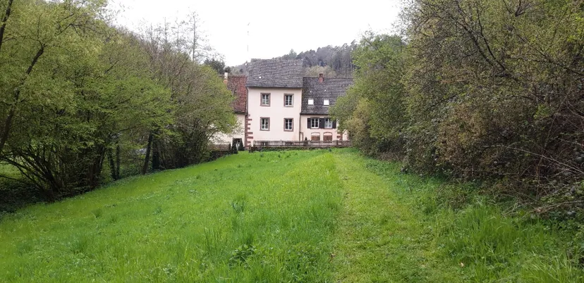 Gîte de pêche en Alsace de 4 à 6 pêcheurs