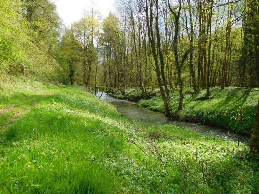 Gîte de pêche en Alsace de 4 à 6 pêcheurs