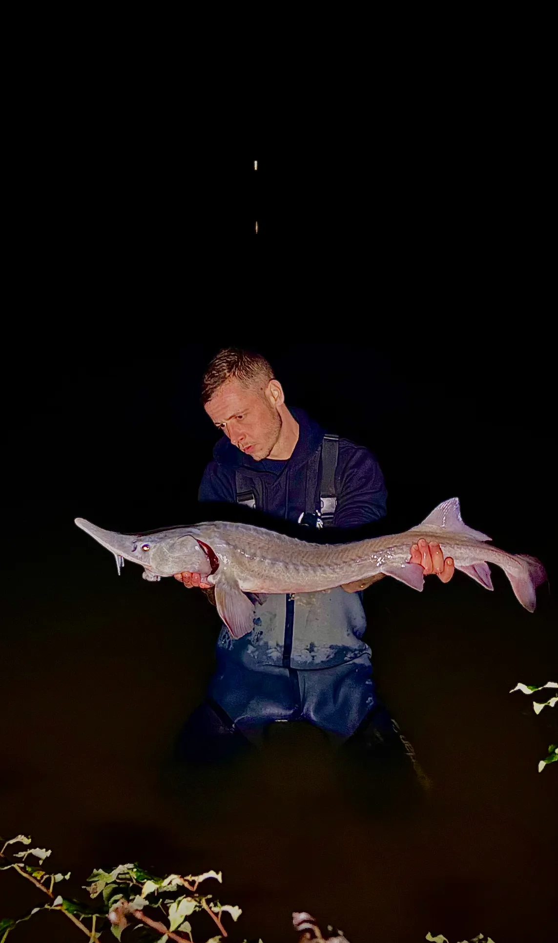 Etang au calme, pêche et détente avec terrain de pétanque
