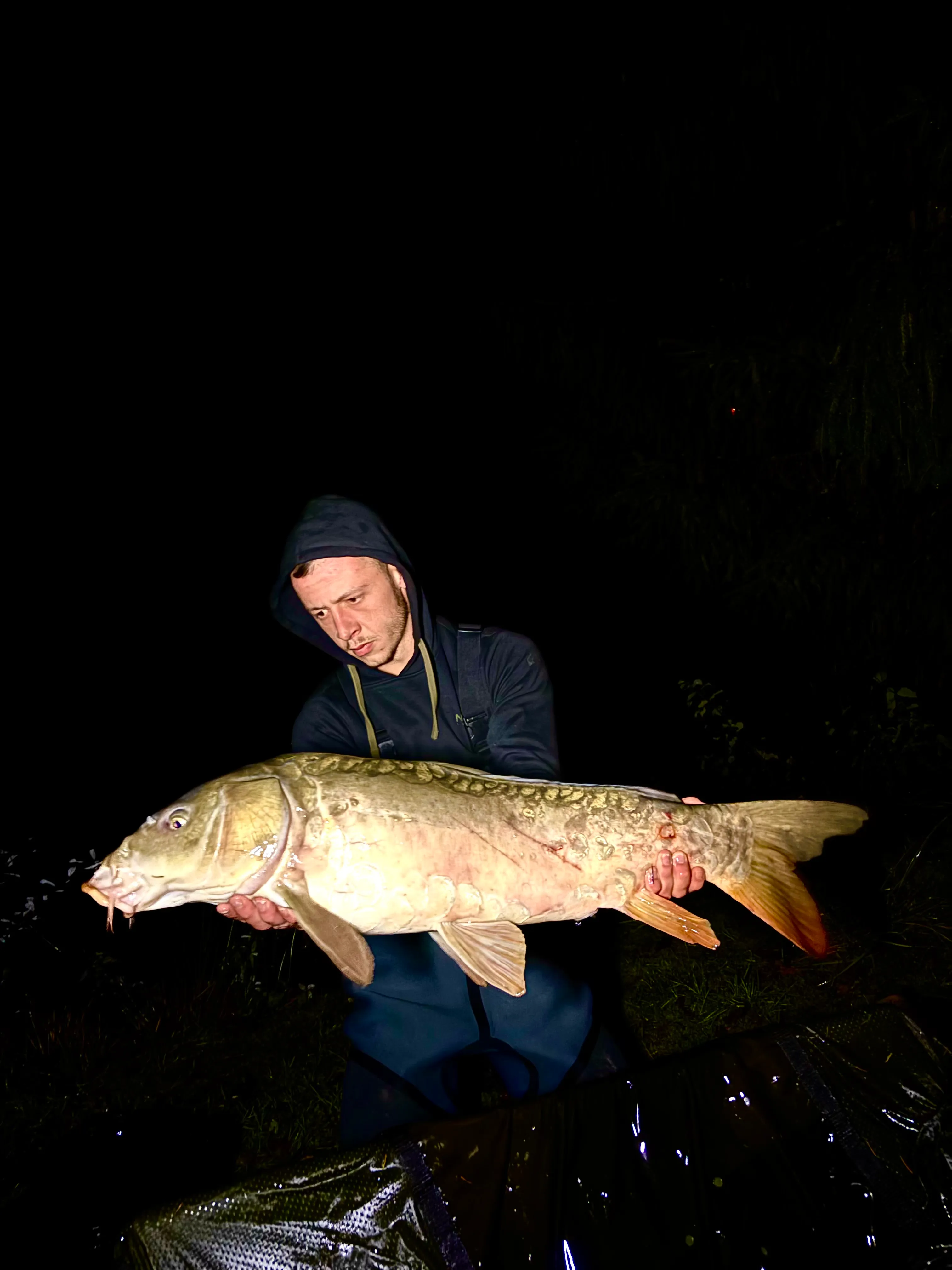 Etang au calme, pêche et détente avec terrain de pétanque