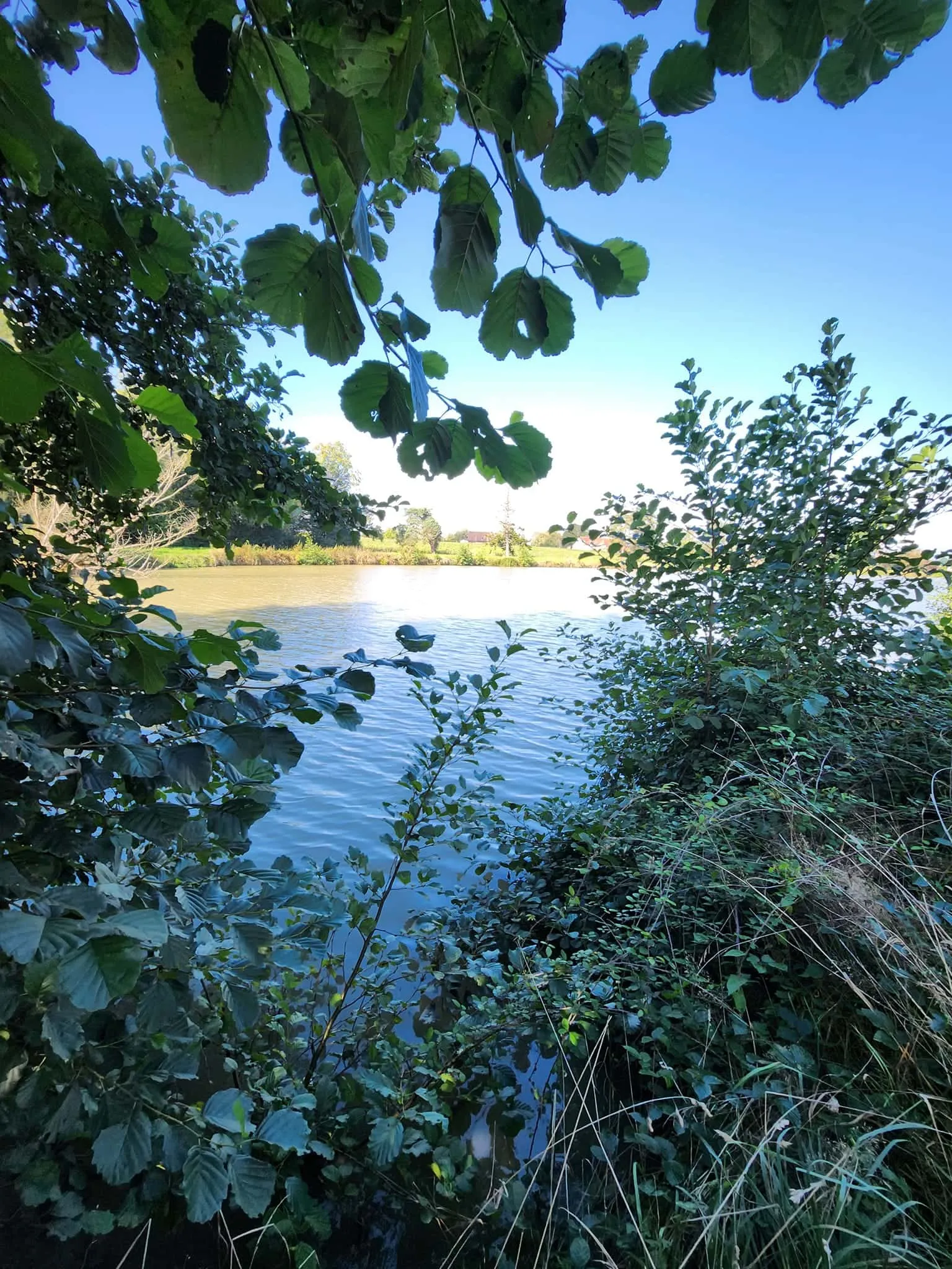 Etang de 2 hectares à louer à Mervans