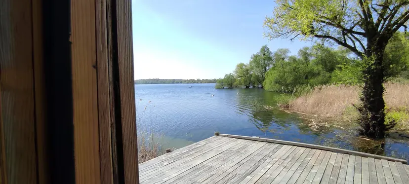 Cabane cosy en cabane au bord d’un lac