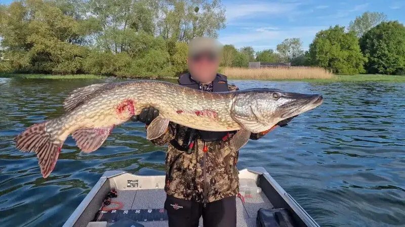 Yourte mongole traditionnelle au bord d’un lac en pleine nature