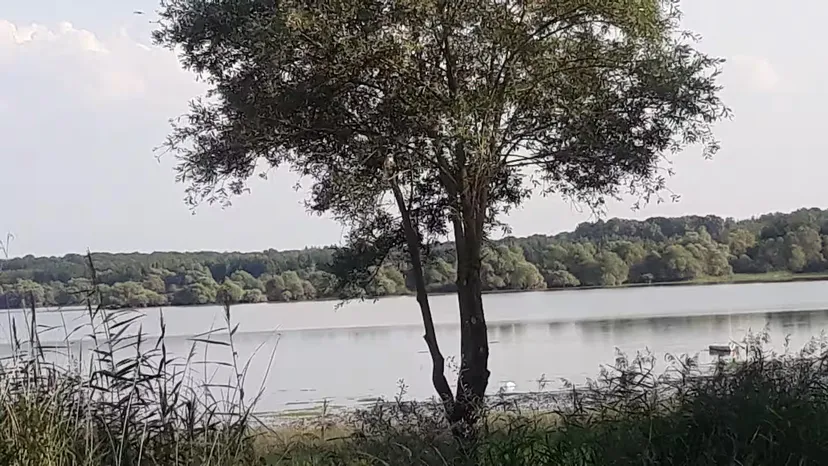 Yourte mongole traditionnelle au bord d’un lac en pleine nature