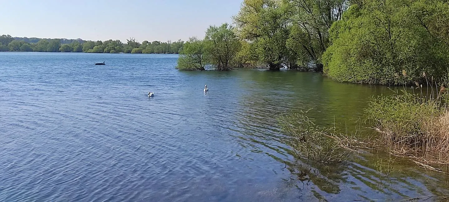 Hutte tout confort au bord d’un lac dans le Grand Est