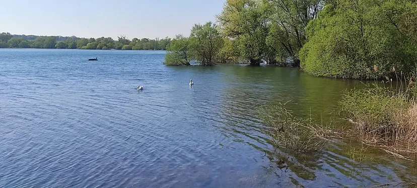 Hutte tout confort au bord d’un lac dans le Grand Est