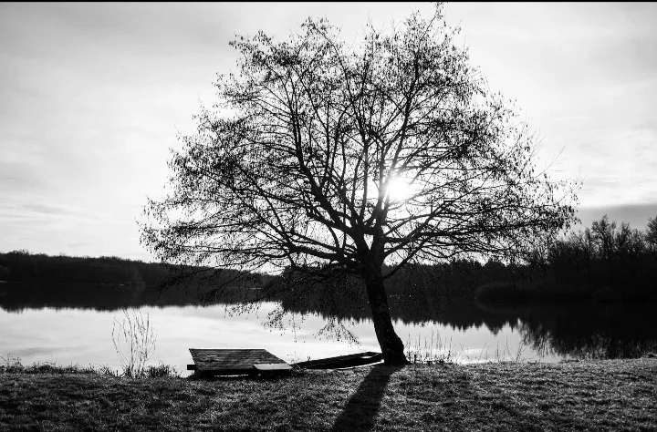 Pond of 39.54 ac; upscale cottage, nature, calm, beauty, serenity (7 beds)