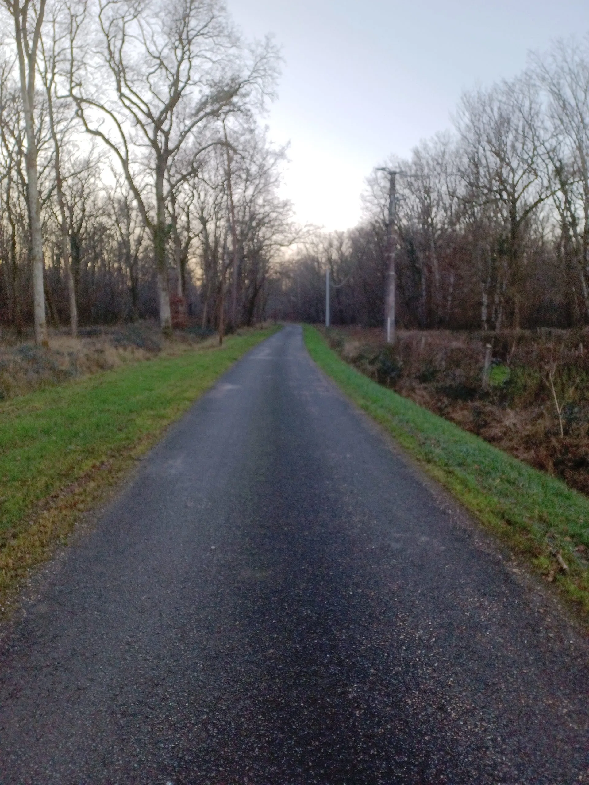 Pond of 39.54 ac; upscale cottage, nature, calm, beauty, serenity (7 beds)