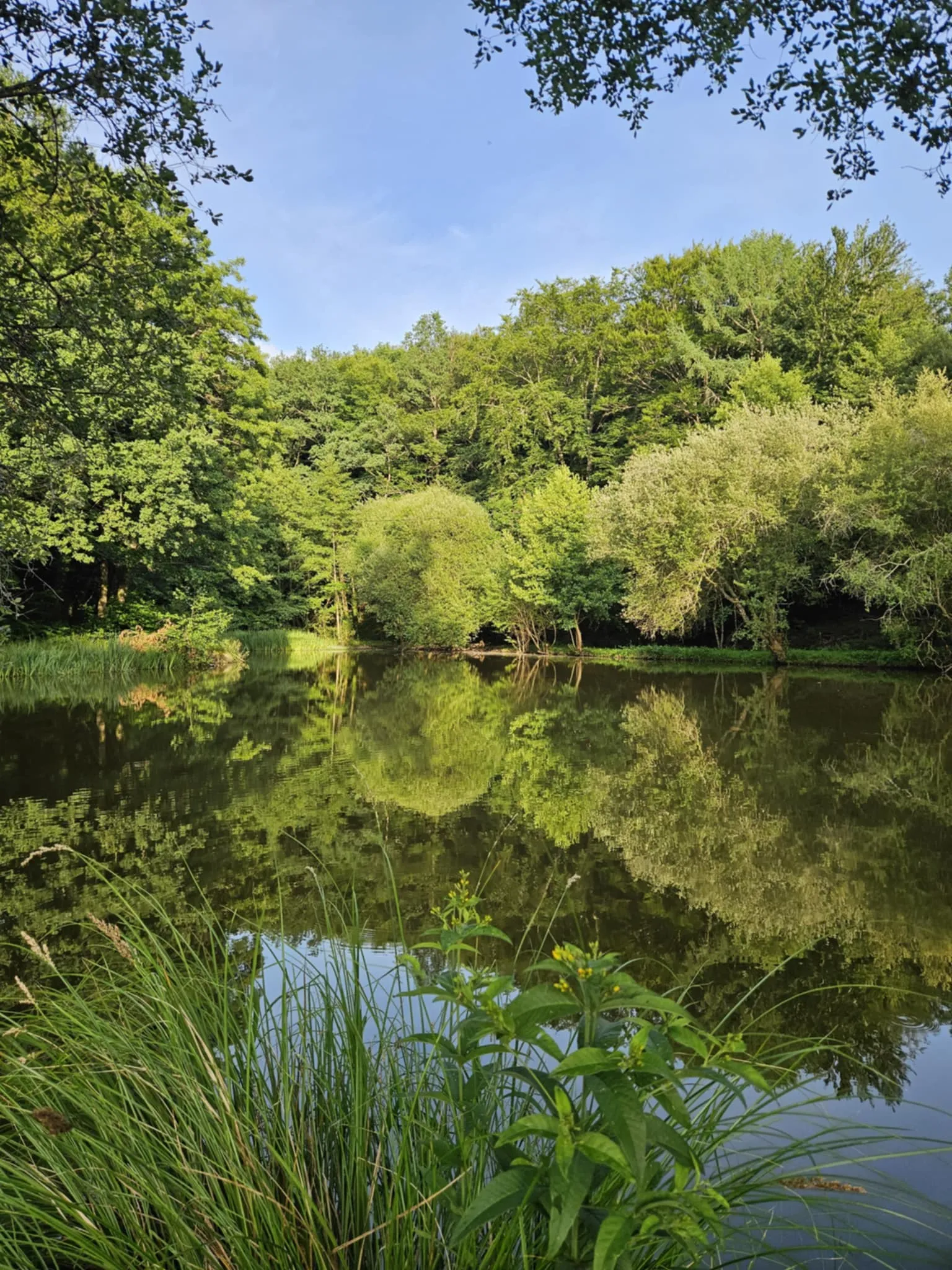 Maison de plain-pied en pleine nature avec accès à un étang en Corrèze
